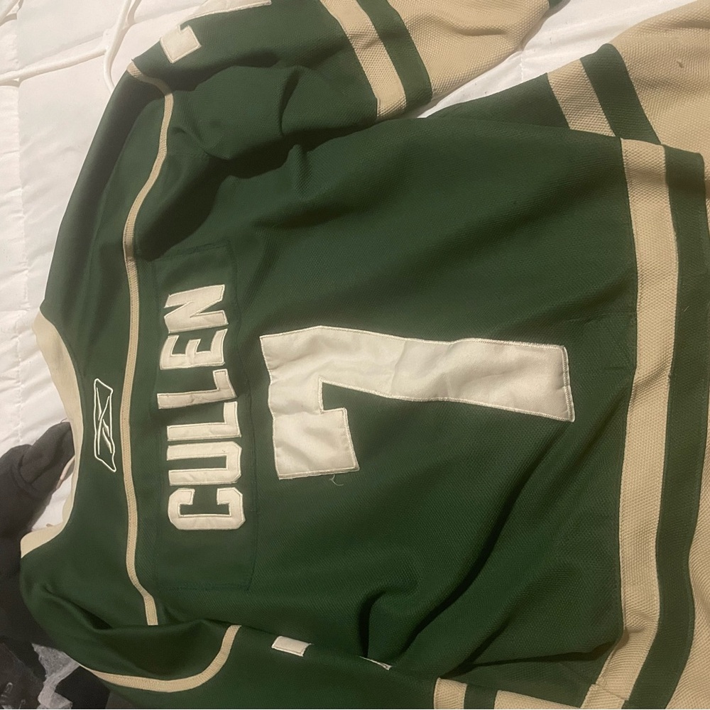 Minnesota wild jersey